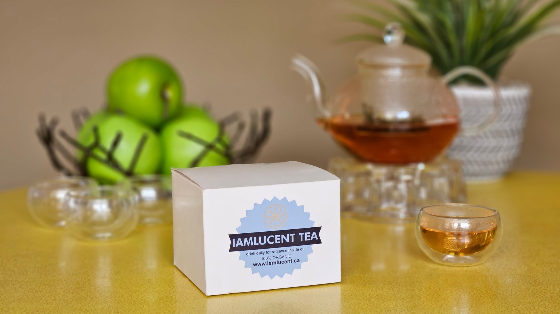 IamLucent teapot and box